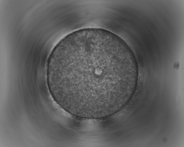 X0000114440950200911131513