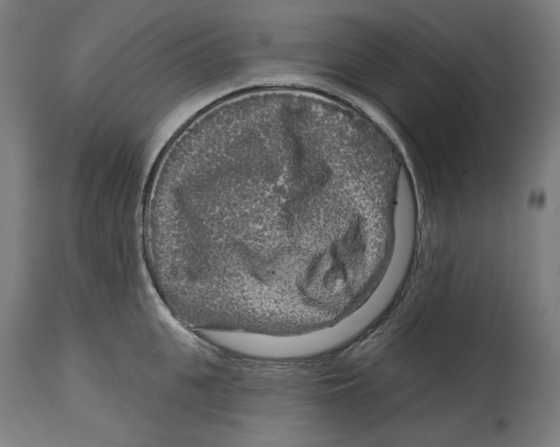 X0000114440951200911131513