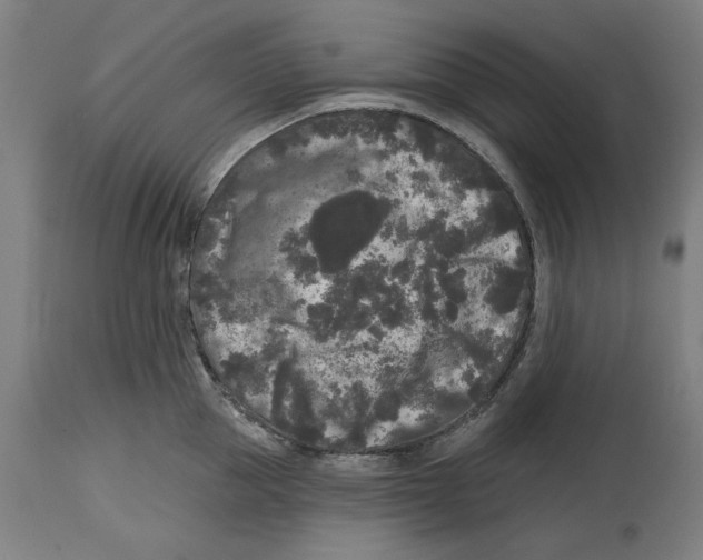 X0000114440953200911131513