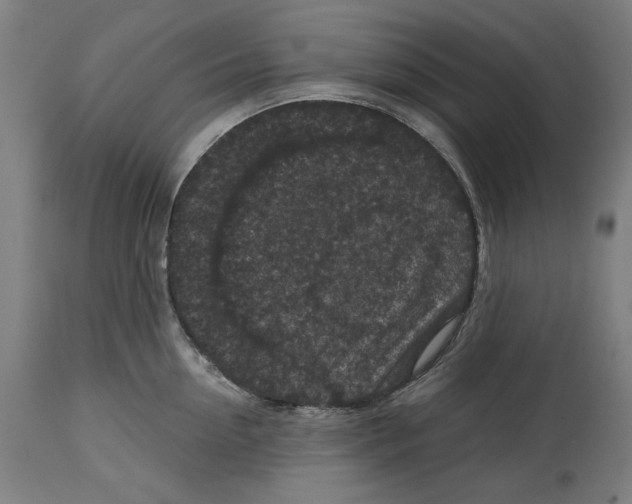 X0000114440954200911131513