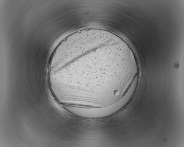 X0000114440955200911131513