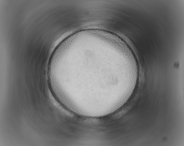 X0000114440957200911131513