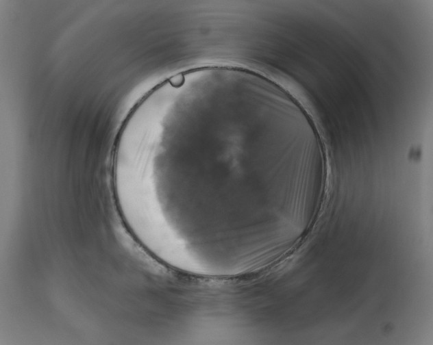 X0000114440958200911131513