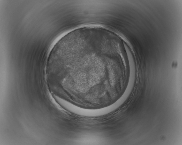 X0000114440959200911131513