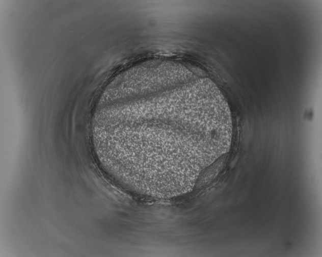 X0000114440961200911131512