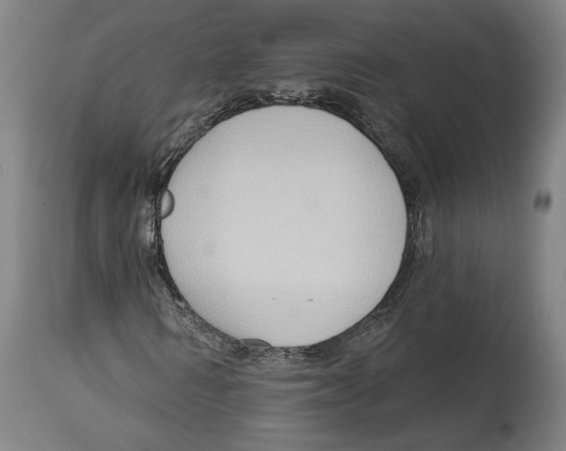 X0000114440962200911131512