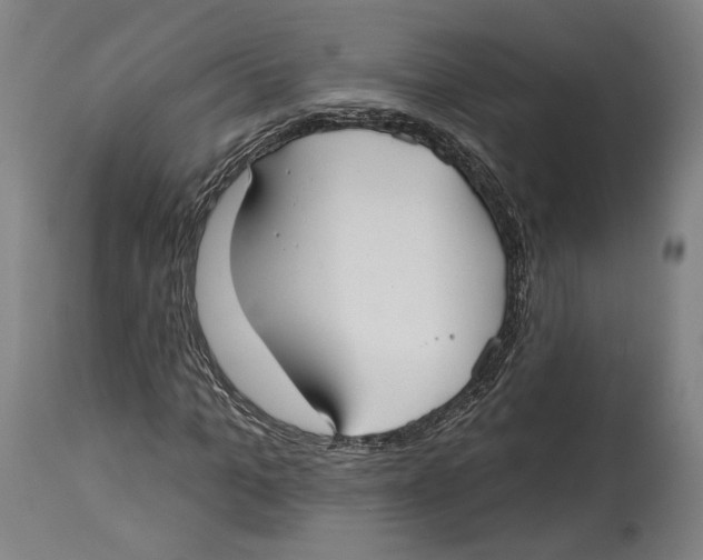 X0000114440965200911131512