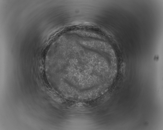 X0000114440966200911131512