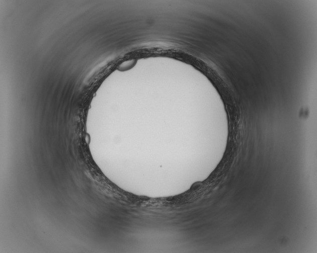 X0000114440967200911131512