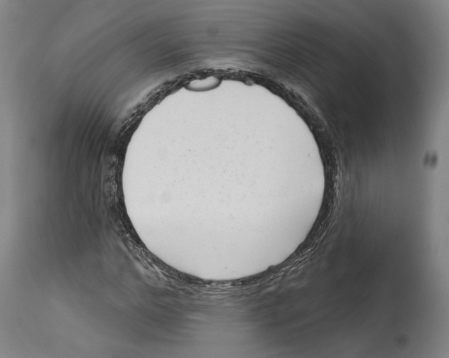 X0000114440968200911131512