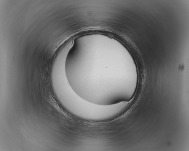 X0000114440969200911131512