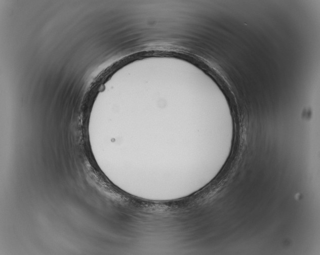 X0000114440971200911131512