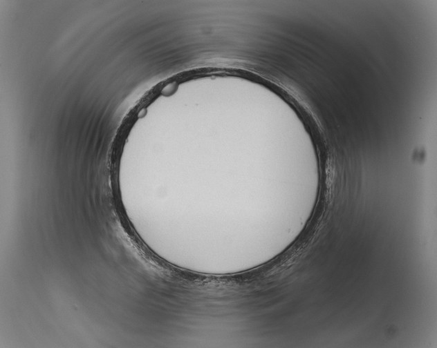 X0000114440972200911131512