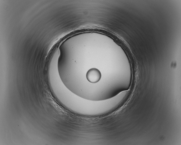 X0000114440973200911131512