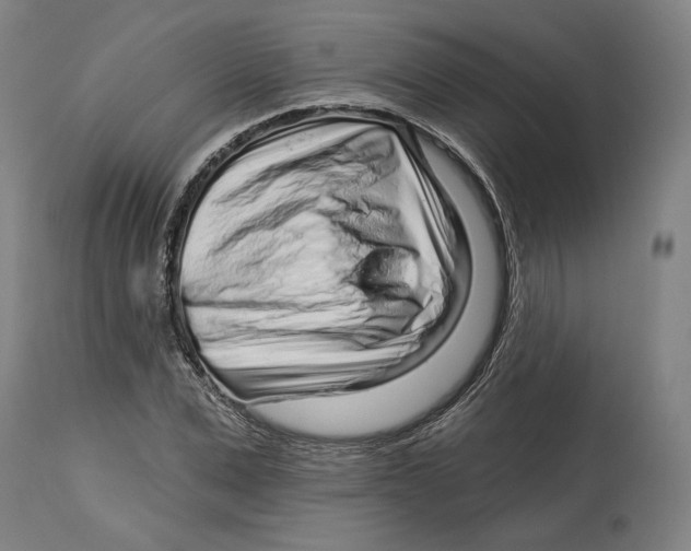 X0000114440975200911131512