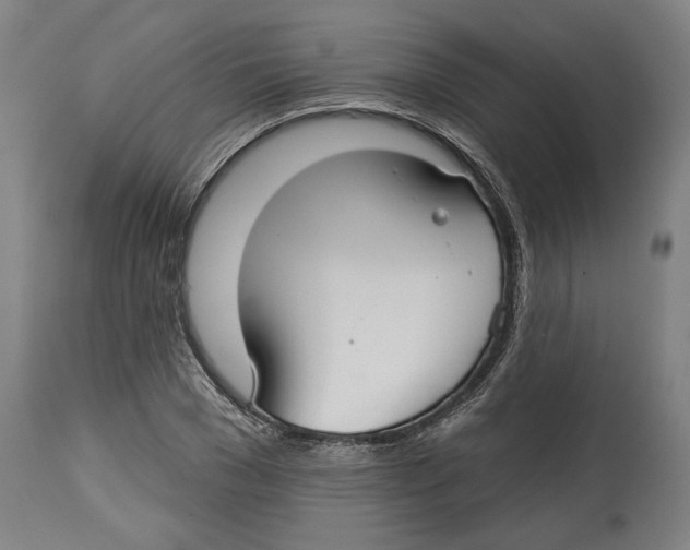 X0000114440977200911131512