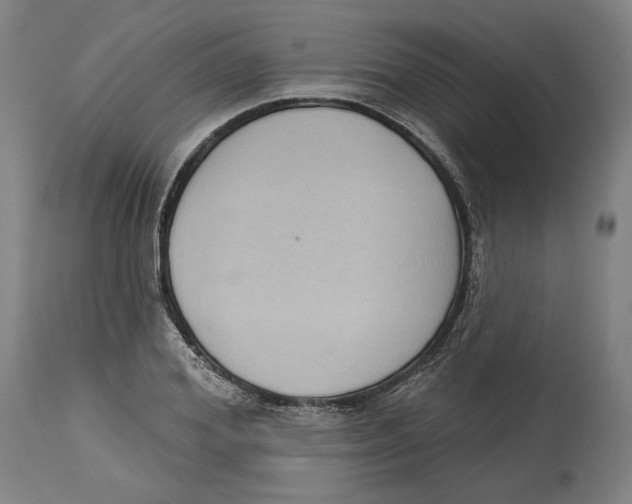 X0000114440980200911131512