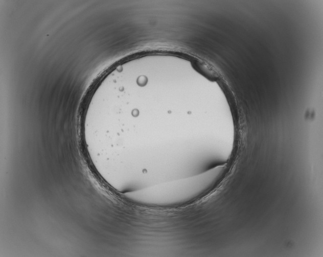 X0000114440981200911131512