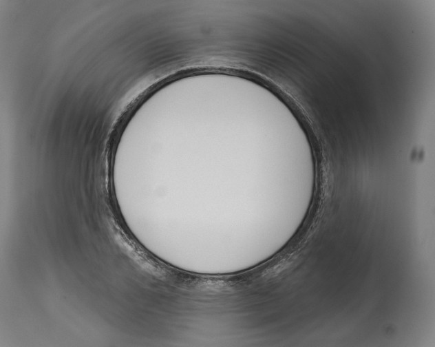 X0000114440982200911131512