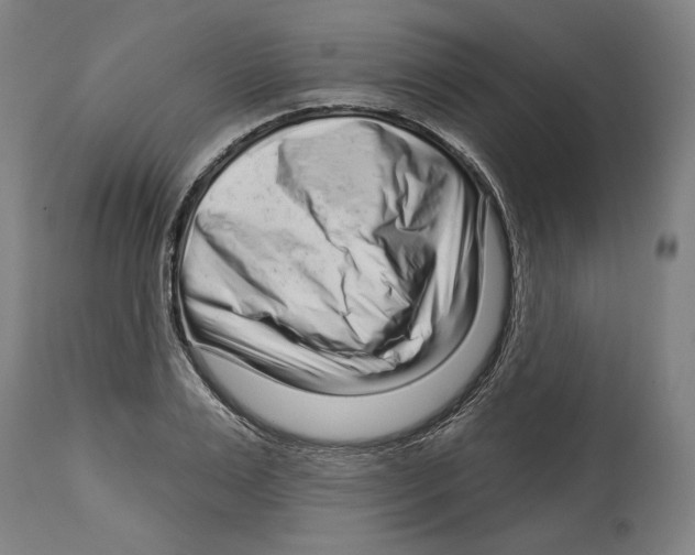 X0000114440983200911131512