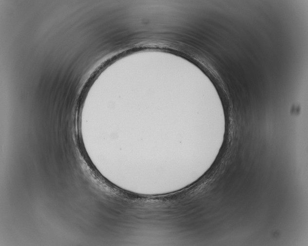 X0000114440984200911131512