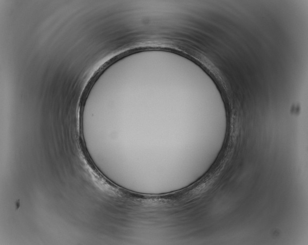 X0000114440988200911131511