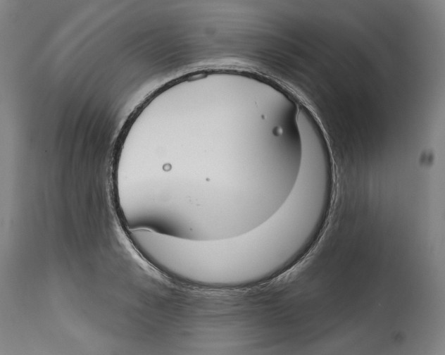 X0000114440989200911131511