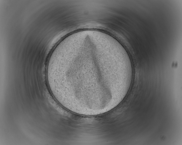 X0000114440990200911131511