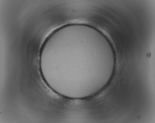 X0000114440992200911131511