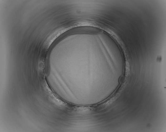 X0000114440993200911131511