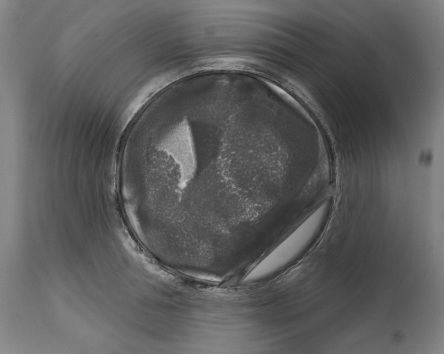 X0000114440994200911131511