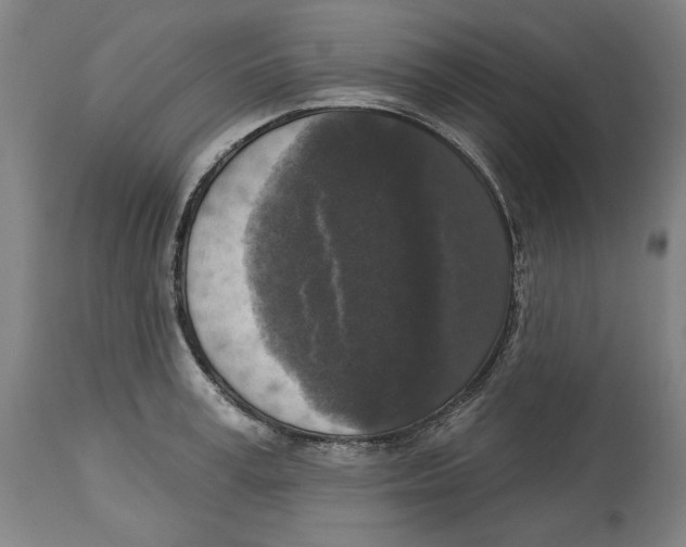 X0000114440995200911131511