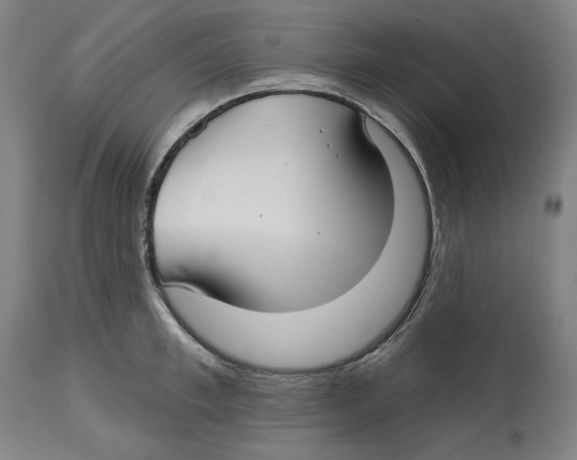 X0000114440997200911131511