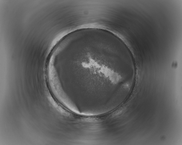 X0000114440998200911131511