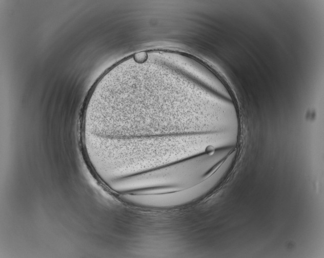 X0000114440999200911131511