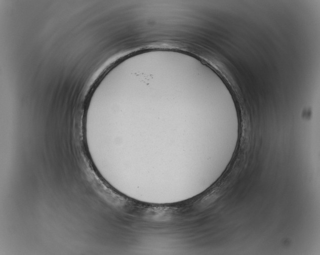 X0000114441000200911131511