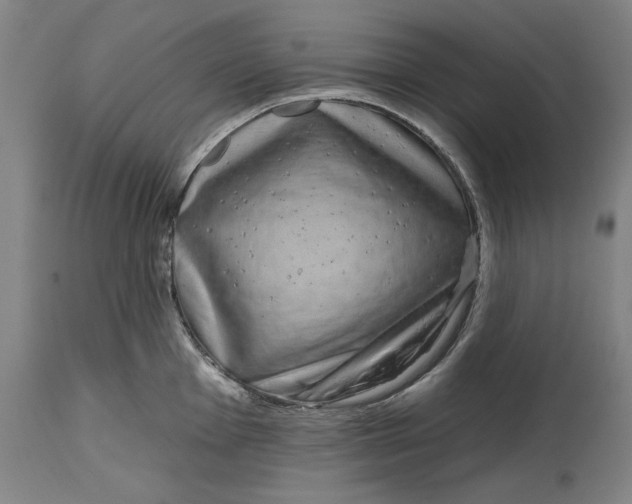 X0000114441001200911131511