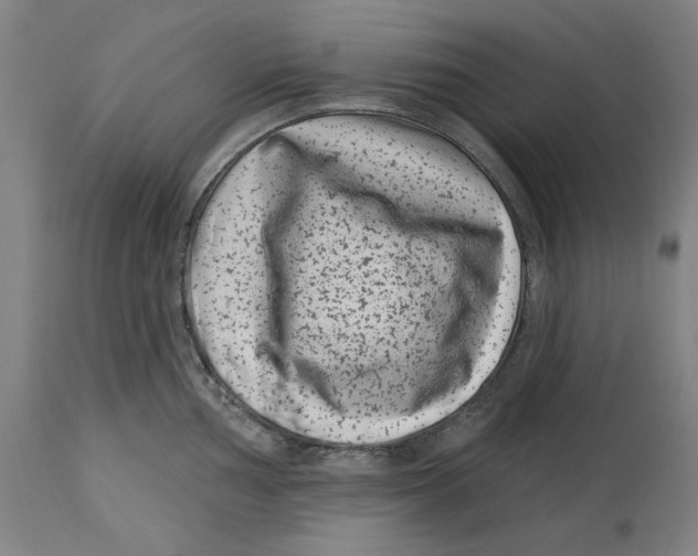 X0000114441002200911131511