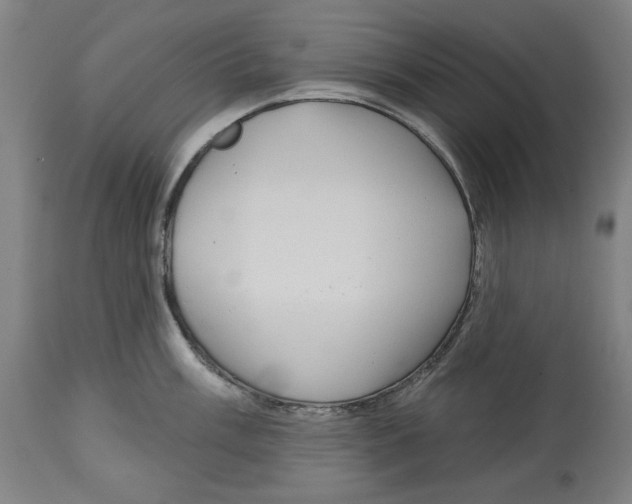 X0000114441003200911131511