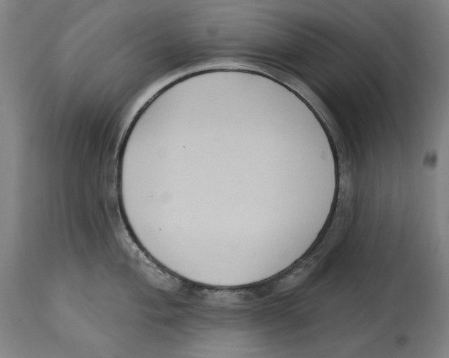 X0000114441004200911131511