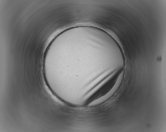 X0000114441005200911131511