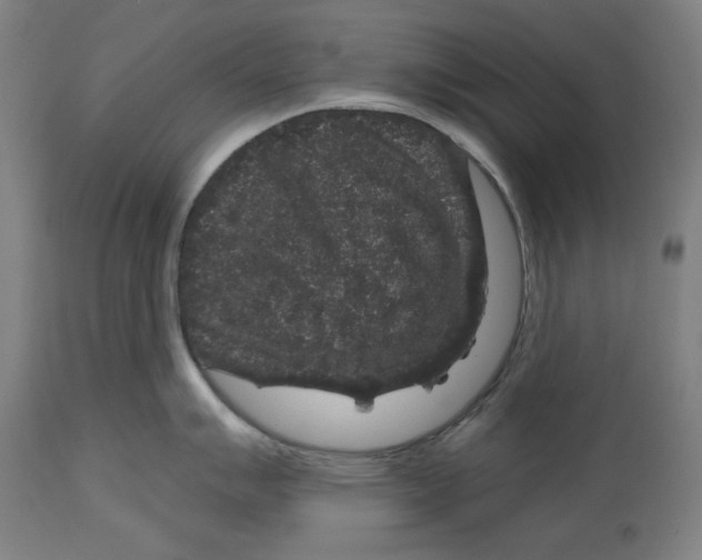 X0000114441007200911131511