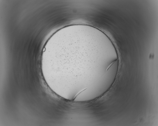 X0000114441008200911131511