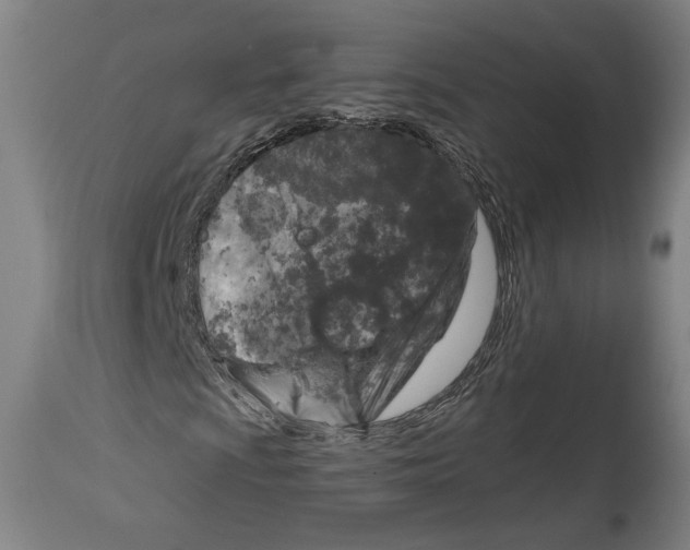 X0000114441009200911131511