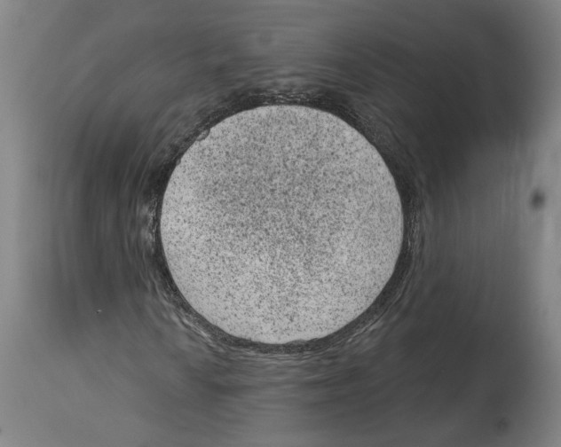 X0000114441010200911131511