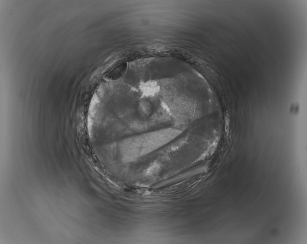 X0000114441011200911131511