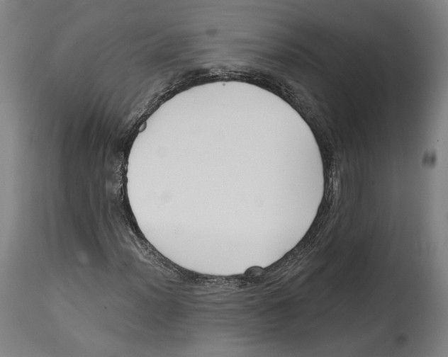 X0000114441012200911131511