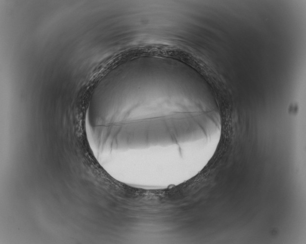 X0000114441013200911131511