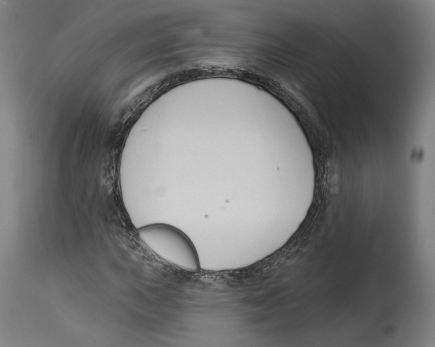 X0000114441015200911131511