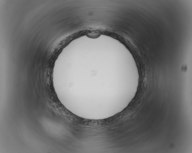 X0000114441016200911131511